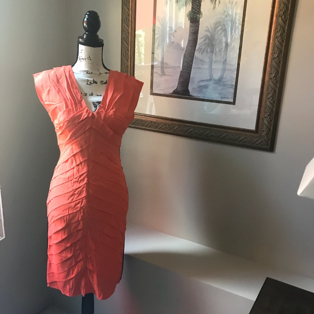 LAST DAY🔥FINAL PRICE🔥Ted Baker Dress